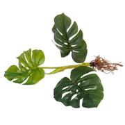 ����� ����������� �������� 54�� 1067230