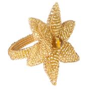 ���� ����� ��� �������� ����� ���������� 5�� 1161053-set