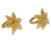 ���� ����� ��� �������� ����� ���������� 5�� 1161053-set