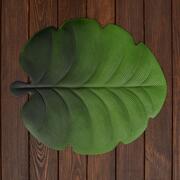����� �������� ������������� Leaves 45�39�� LEAVES-Calathea-6set