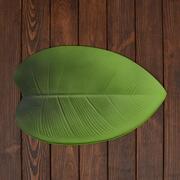 ����� �������� ������������� Leaves 44�28�� LEAVES-Ficus-2set