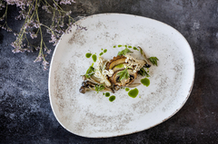 ������� �������� Nacrous 24�� MT-NCRVAO24DZ