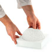 ������ ��� ������ 18�� TIRAMISU DECOR