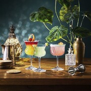 ����� ��� �������� Bloom Nick & Nora 155�� 10000005020