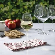 ���� ������� ��� ���� Allegra 490�� 440065-6