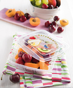 ����� ����������� Food Conteiners 500�� SN055000