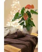 ���� Soft ����� 200�200�� 4823093410466