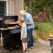 ����� ������� Crown Classic 410 Shadow 865953