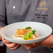 ������� �������� Rondo 21�� 4320