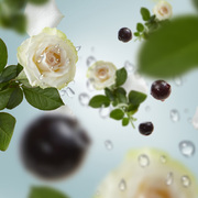 ���������� Spirale Bleue � �������� Lamps Ocean Breeze 250�� 4804