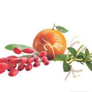 ���������� Spirale Rouge � �������� Lamps Goji Berries 250�� 4805