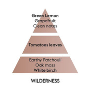 ���������� Terra Rouge � �������� Lamps Wilderness 250�� 4784