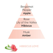 ������������� Ice Cube � �������� Diffusers Hibiscus Love 125�� 6396