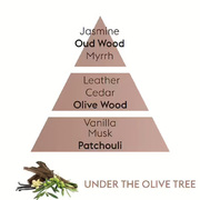 ������������� Ice Cube � �������� Diffusers Under the Olive Tree 125�� 6684