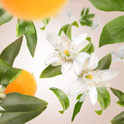 ������������� Ice Cube � �������� Diffusers Orange Blossom 125�� 6876