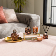 ������������ Joy � �������� Diffusers Agave Garden 180�� 6847