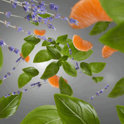 ������ ��� ��������� Aromas Anti-Kitchen Fresh & Floral 200�� 6270