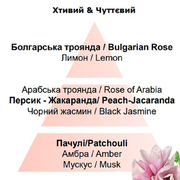 ������� ��� ��������� � �������� Car Diffusers Underneath The Magnolias 6841