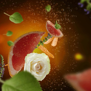 �������� ��� ���������� � �������� Car Diffusers Black Angelika 7798