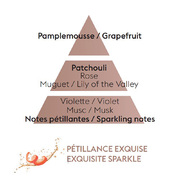 �������� ��� ���������� � �������� Car Diffusers Black Angelika 7798