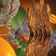 ��������� ��� �������������� ��������� Car Diffusers Anti-Tabacco 6418