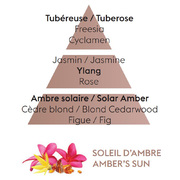 ��������� ��� �������������� ��������� Car Diffusers Amber's Sun 6950