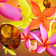 ��������� ��� �������������� ��������� Car Diffusers Amber's Sun 6950