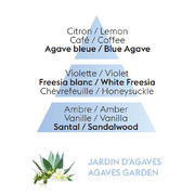 ��������� ��� �������������� ��������� Car Diffusers Agaves Garden 6992
