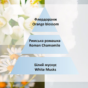 ��������� ��� �������������� ��������� Car Diffusers Cozy Musk 7825