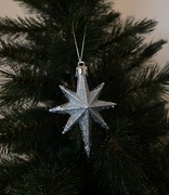 ���� ��������� ������� ǳ��� �������� 9�� 5901292631147_1