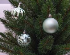 ����� ������� ������� 6�� 5900779832763_1