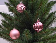 ����� ������� ������� 6�� 5900779832763_2