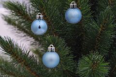 ���� ��������� ������� 3�� 5900779832121_1