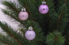 ���� ��������� ������� 3�� 5900779832121_2