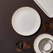 ������� �������� Effect Dust 21�� EF-DS-ZT-21-DZ