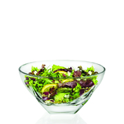 �������� Fusion 245 ��