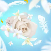 ������ ��� ��������� Aromas for the home White Musk 500�� 115091