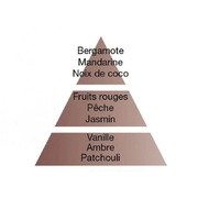 ������ ��� ��������� Aromas for the home Orient Star 500�� 115313