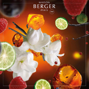 ������ ��� ��������� Aromas for the home Orient Star 500�� 115313