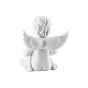 ��������� Engel ����� � ������� 6,5�� 1030004367