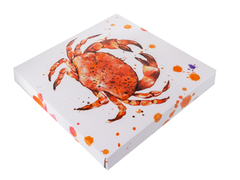 ���� ������ ������ Red Shells 27�� 922-114