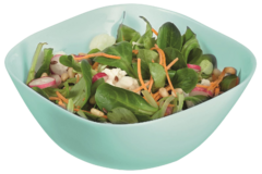 �������� Carine Light Turquoise 14�14�� V5280