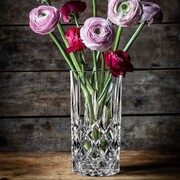 ���� Noblesse 23�� 106017