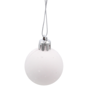 ���� ��������� ������� 5900779895324_1