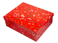 ���� Winters Magic 25,5�� 924-885