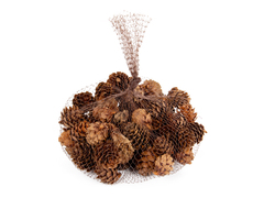 ����� ����� ������������ 100�� 801-579