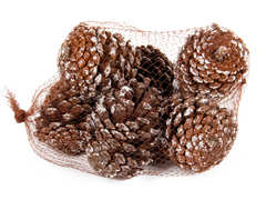 ����� ����� ������������ 801-577