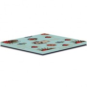 ������ �������� Icons Hamsa 20�� PM0345#ICON _2