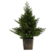 ���� ������������ � LED ���������� 90�� 5900779899087