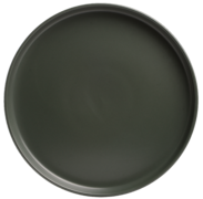 ������� ��������� Robust Green 19�� TRSC-PS2505-G80P